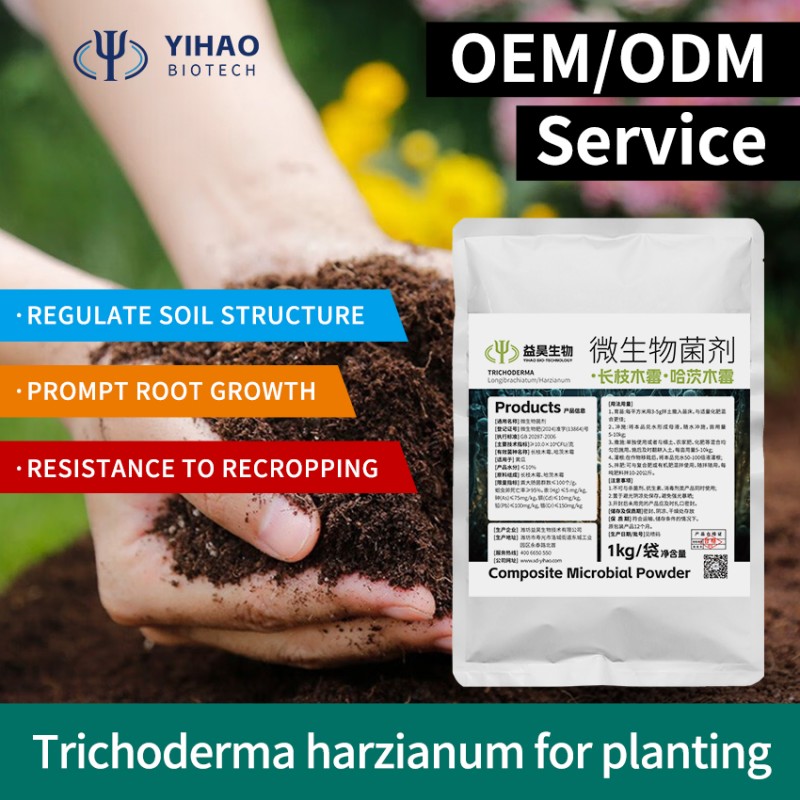 Factory  Supply Corn Fertilizer Fungicides Bacillus Coagulans Other Agriculture Products