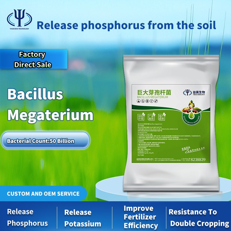 Flexible Production Bacilius Subtilis Bacillus Megaterium Fertilizer for Rice
