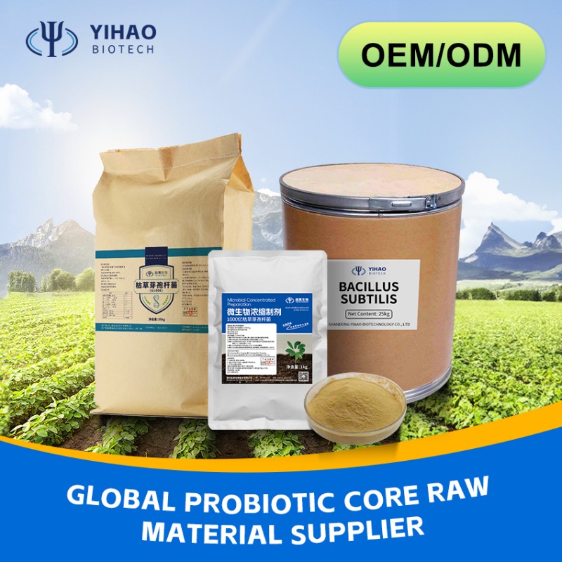 Flexible Production Bacillus Megaterium Chemical Raw Materials Fertility Booster