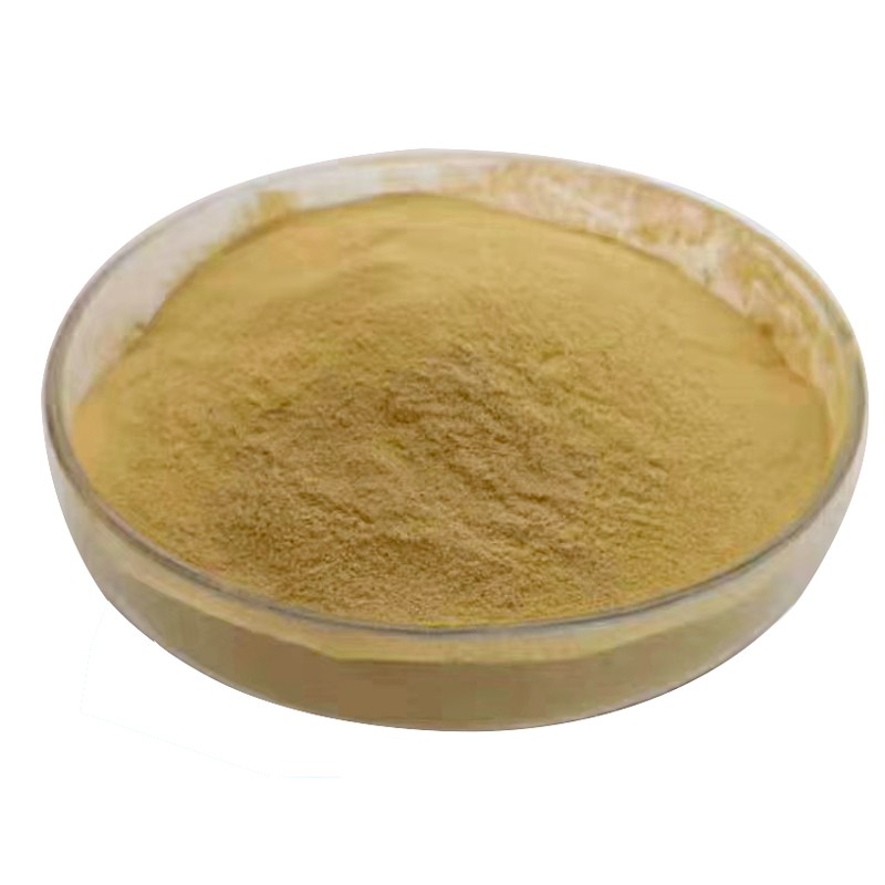 Factory Price Bacillus Subtilis Probiotics 50 Billion Bacteria Strain for Reducing Ammonia Nitrogen & Nitrite Wastewater
