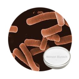Lactobacillus Helveticus Probiotic Strain