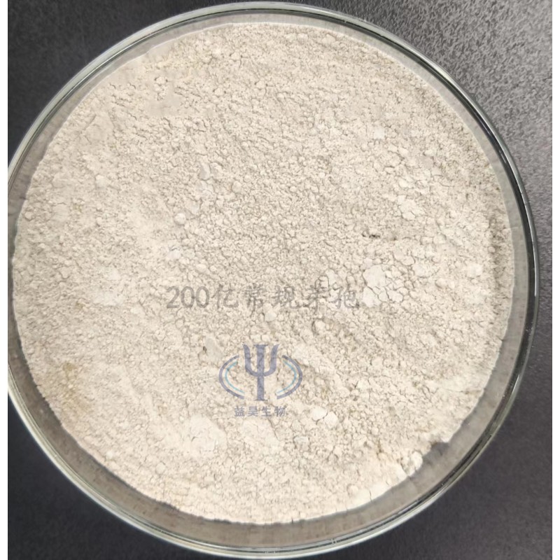 Factory Price Fish Growth Booster 50 Billion Bacillus Subtilis Probiotics Reduces Ammonia Nitrogen and Nitrite Concentration