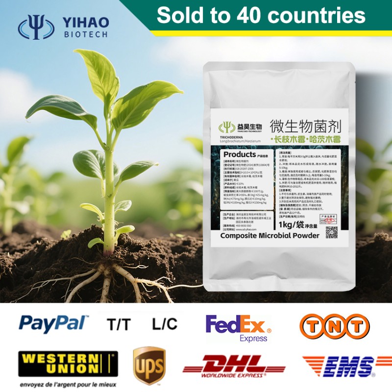 Factory  Supply Corn Fertilizer Fungicides Bacillus Coagulans Other Agriculture Products