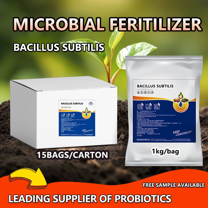 Flexible Production Bio Bacteria Fertilizer Prices Bacillus Amyloliquefaciens