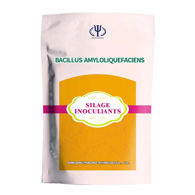 Flexible Production Bacilius Subtilis Bacillus Megaterium Fertilizer for Rice