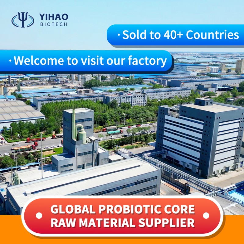 Factory Price Bacillus Subtilis Probiotics 50 Billion Bacteria Strain for Reducing Ammonia Nitrogen & Nitrite Wastewater