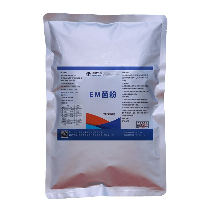 Reliable Lactobacillus Plantarum Probiotics Powder Feed Additives for Aquaculture