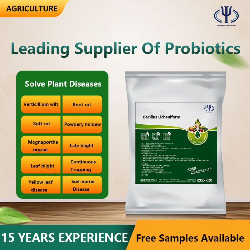 Flexible Production Bio Bacteria Fertilizer Prices Bacillus Amyloliquefaciens