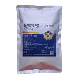 China Manufacturer Direct Supply With Best Price Enhance Immunity Aquaculture Bacillus Subtilis