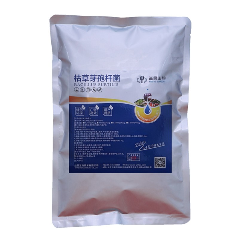 China Manufacturer Direct Supply With Best Price Enhance Immunity Aquaculture Bacillus Subtilis