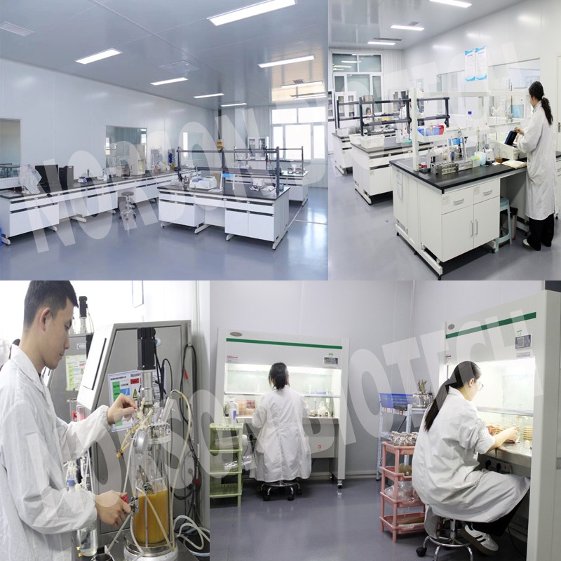 Lactobacillus Salivarius Powder for Fermented Dairy Products