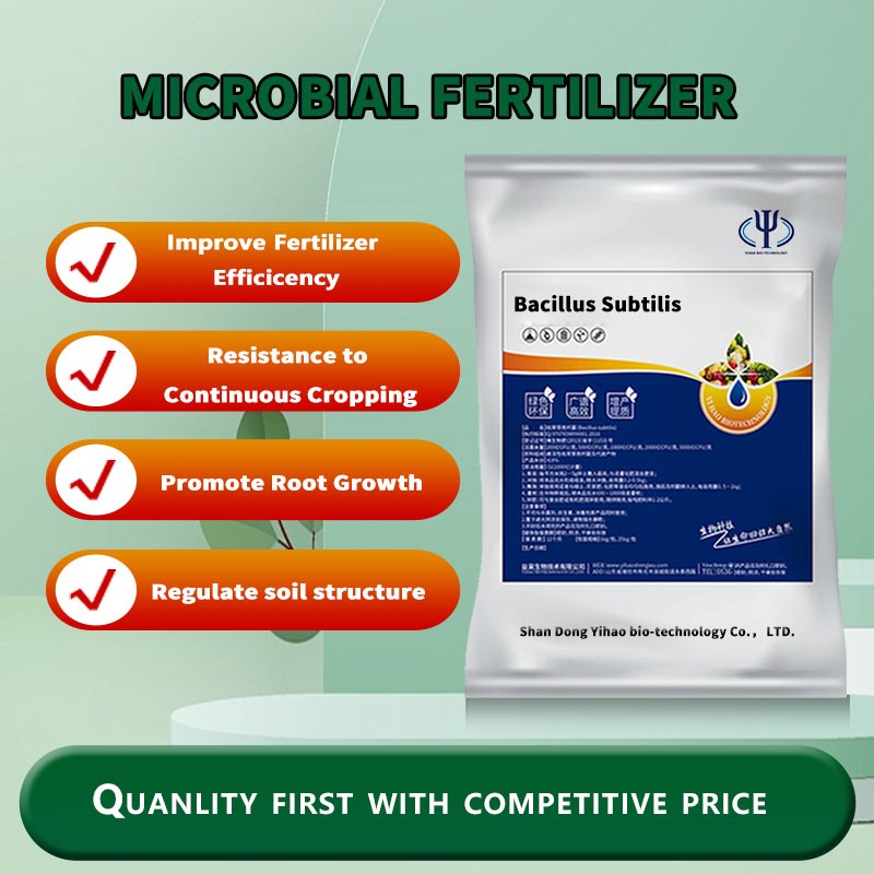 Flexible Production Bio Bacteria Fertilizer Prices Bacillus Amyloliquefaciens