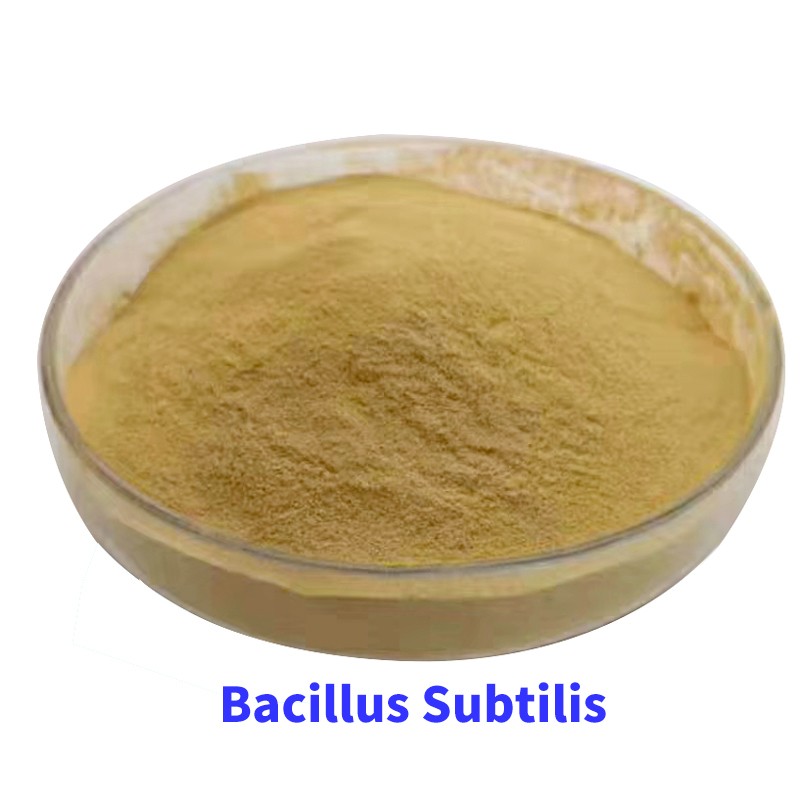 Flexible Production Bacillus Subtilis Liquid Bacillus Megaterium Fertilizantes