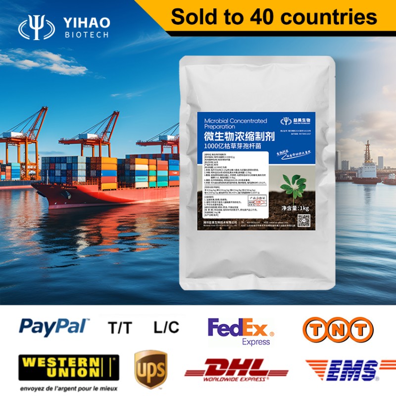 Flexible Production Bacillus Megaterium Chemical Raw Materials Fertility Booster