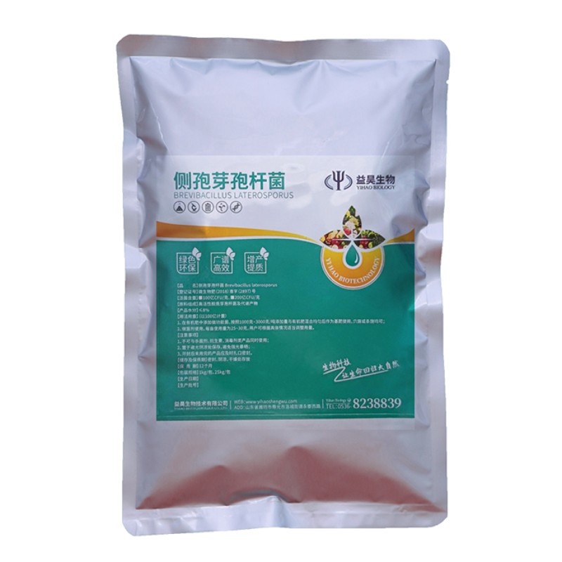 China Manufacturer Direct Supply With Best Price Enhance Immunity Aquaculture Bacillus Subtilis