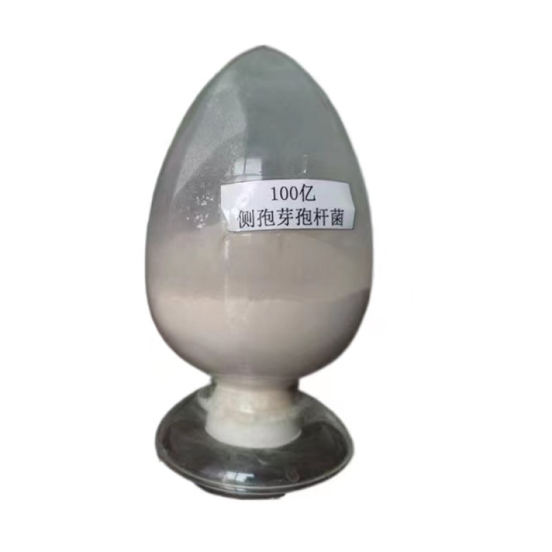 China Manufacturer Direct Supply With Best Price Enhance Immunity Aquaculture Bacillus Subtilis