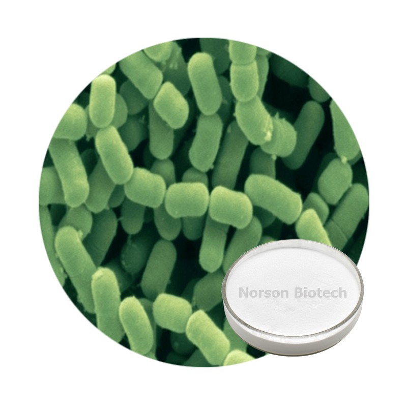 Lactobacillus Fermentum Probiotic Strain