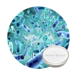 Bifidobacterium Adolescentis Probiotic Strain