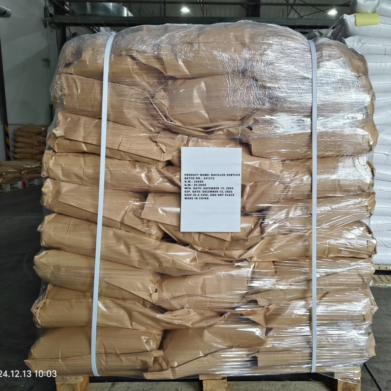 Flexible Production Bacillus Megaterium Chemical Raw Materials Fertility Booster