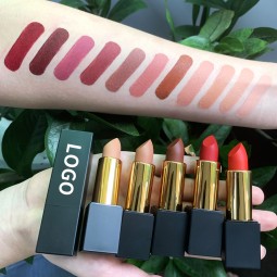 Velvet Lipstick Supplier - Makefay Cosmetics Wholesale No logo Red Matte Lipstick