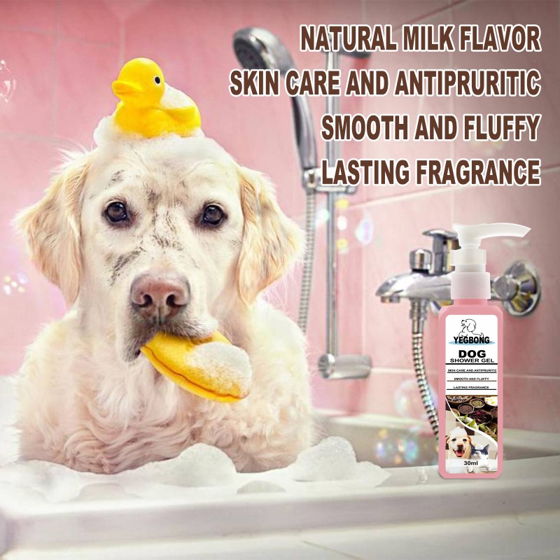Pet Shampoo Supplier - Private Label Organic Plant Essential Oil Anti Itch