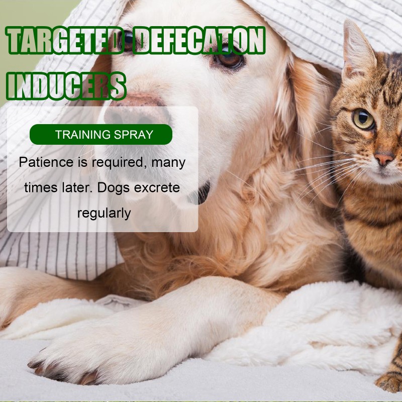 Pet Training Spray Factory - Dog Cat Inducer Fixed-point Toilet Training Spray