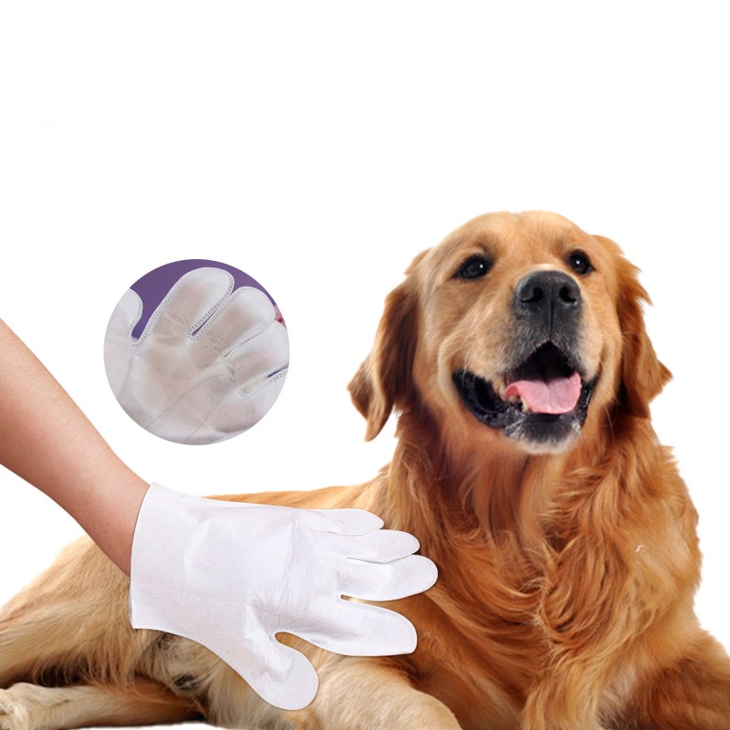 Pet Bath Gloves Manufacturer - Wash Free Gloves Disposable Grooming Massage Gloves
