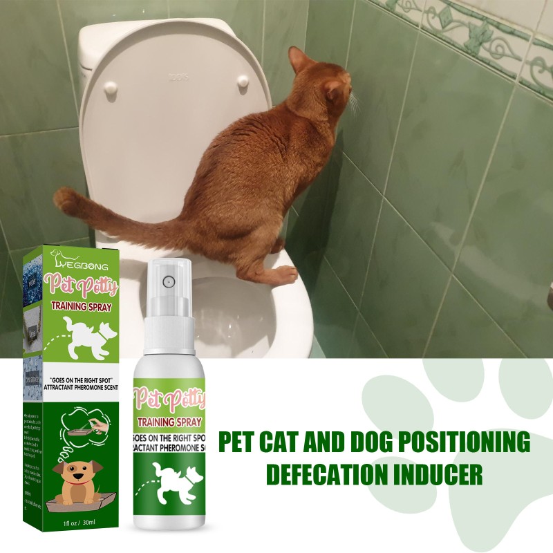 Pet Training Spray Factory - Dog Cat Inducer Fixed-point Toilet Training Spray
