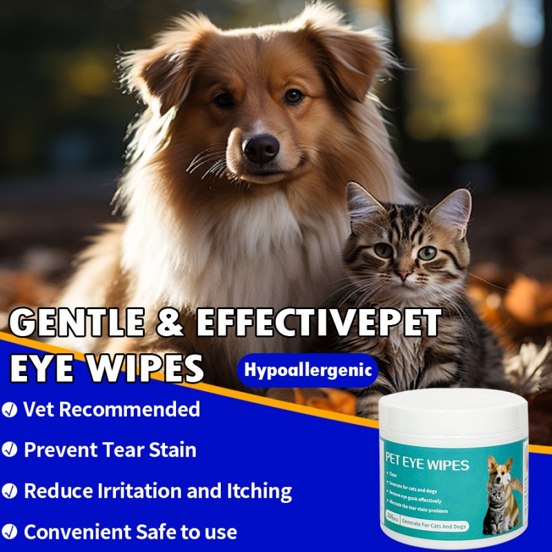 Pet Eye Wipes Factory - Organic Wholesale 100 Pieces Dog Cat Cleaning Wipes