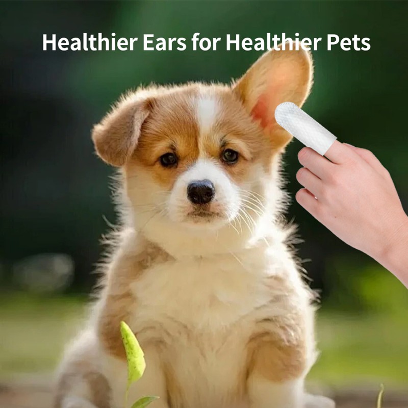 Pet Wipes Supplier - Manufacturer Wholesale Plant Extract Pet Eye Ear Wipes