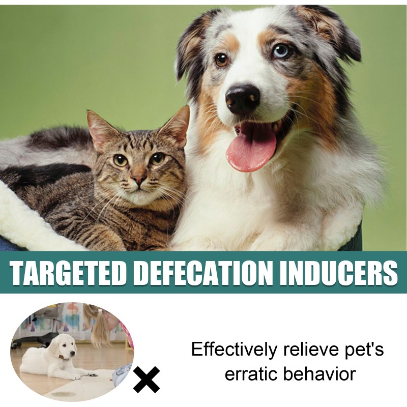 Pet Training Spray Factory - Dog Cat Inducer Fixed-point Toilet Training Spray