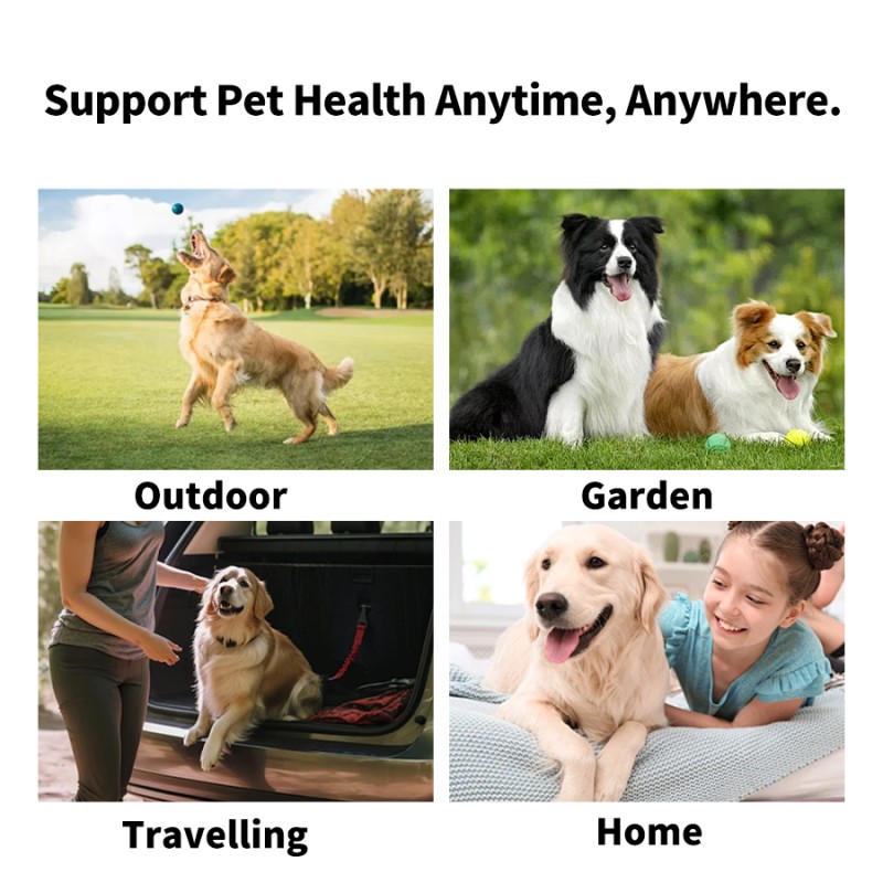 Pet Eye Wipes Factory - Organic Wholesale 100 Pieces Dog Cat Cleaning Wipes