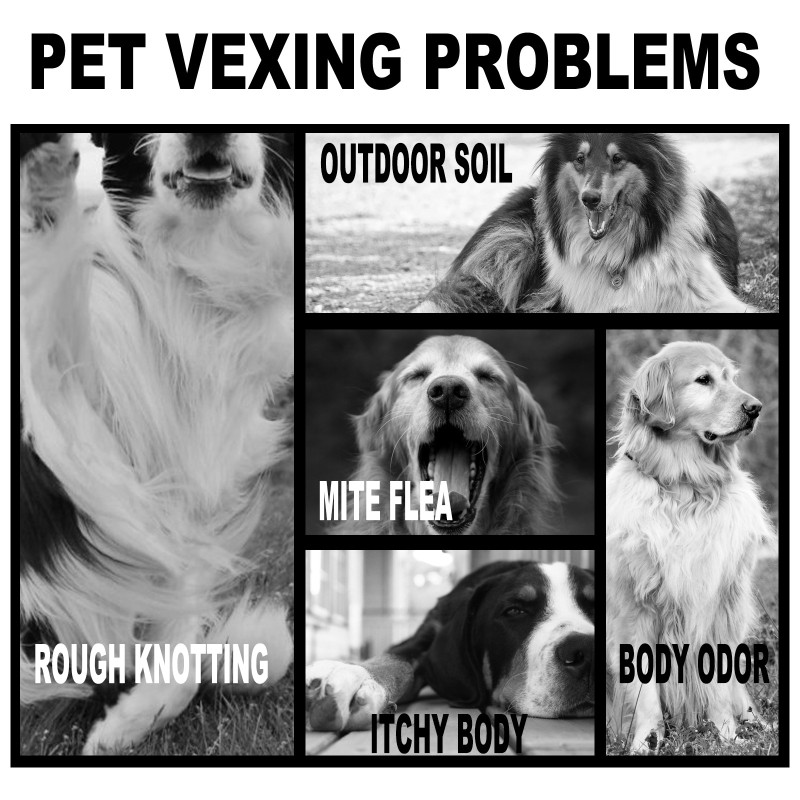 Pet Shampoo Supplier - Private Label Organic Plant Essential Oil Anti Itch