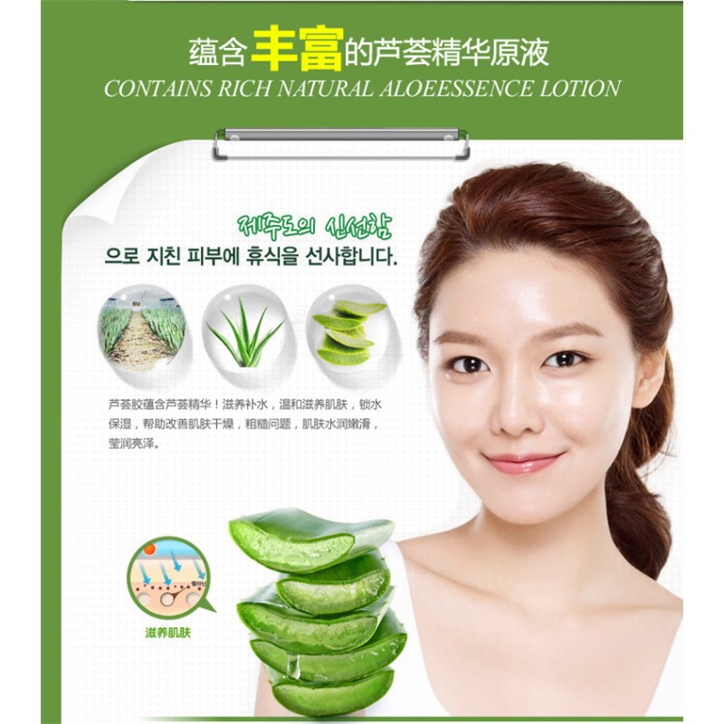 Face Cream Manufacturer - Korean Tender Smooth Moisturizing Repair Aloe Vera
