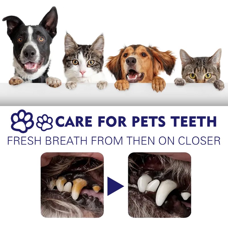 Pet Toothpaste Factory - New Arrival High Quality Fresh Breath Stain Removal