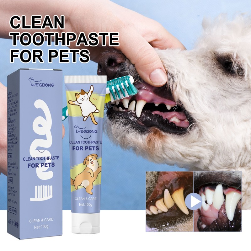 Pet Dental Care Supplier - Wholesale Pets Toothpaste for Dogs and Cats