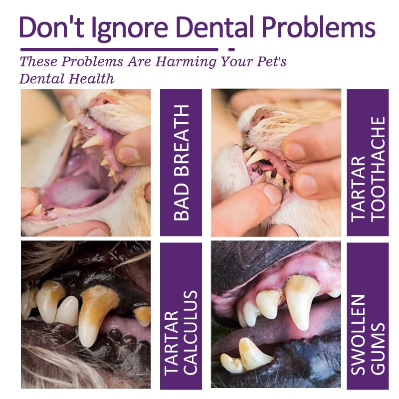 Pet Toothpaste Factory - New Arrival High Quality Fresh Breath Stain Removal