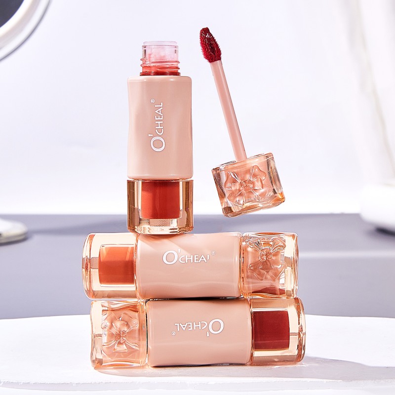 Lip Gloss Supplier - Cute Waterproof Long Lasting Moisturizing Smooth Volumizing