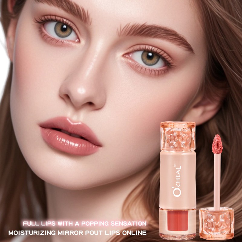 Lip Gloss Supplier - Cute Waterproof Long Lasting Moisturizing Smooth Volumizing