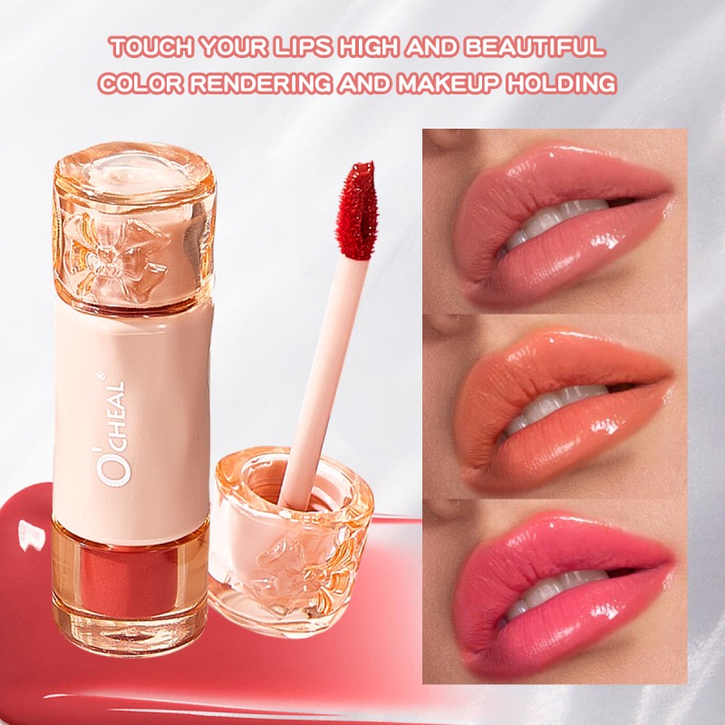 Lip Gloss Supplier - Cute Waterproof Long Lasting Moisturizing Smooth Volumizing
