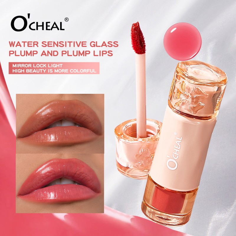 Lip Gloss Supplier - Cute Waterproof Long Lasting Moisturizing Smooth Volumizing