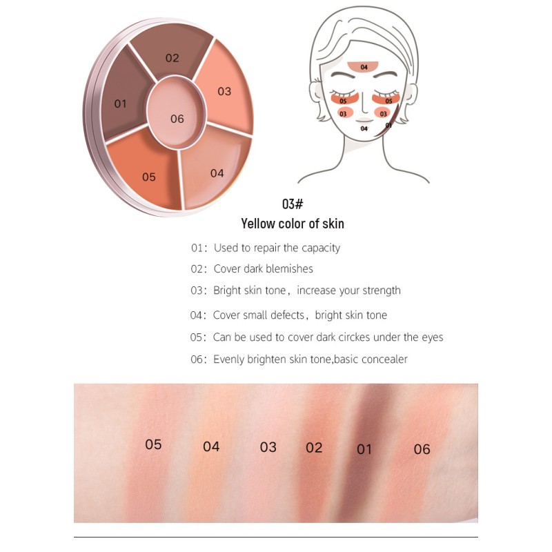Concealer Palette Factory - ZXP01A SFR Full Coverage Waterproof Vegan Face
