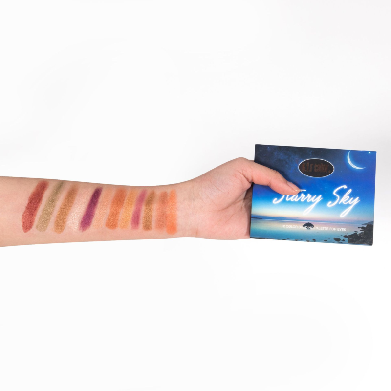 Eyeshadow Palette Manufacturer - 6993A Professional Christmas Luxury Matte Shimmer