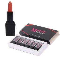 Lipstick Set Factory - Ready to Ship Organic Mushroom 6 Colors Matte