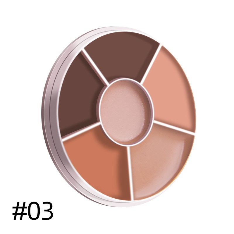Concealer Palette Factory - ZXP01A SFR Full Coverage Waterproof Vegan Face
