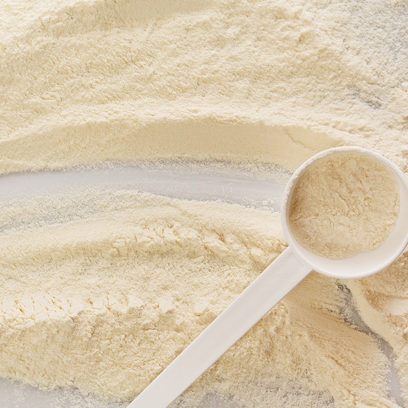 Private Label Delicious 10 Billion CFU Probiotics Freeze Dried Powder Probiotics Supplements Promoting Bowel Digestive Health