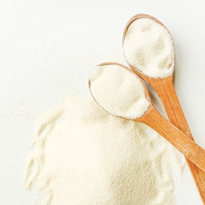 Wholesale Hot Selling Whey Protein Powder Immunity Booster Nutrition Supplement for All