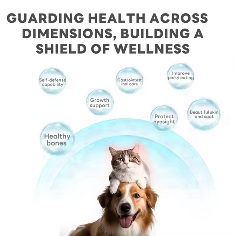 OEM/ODM Pet Health Care & Supplement Probiotics Powder for Dogs and Cats Support Gut & Immune System Health