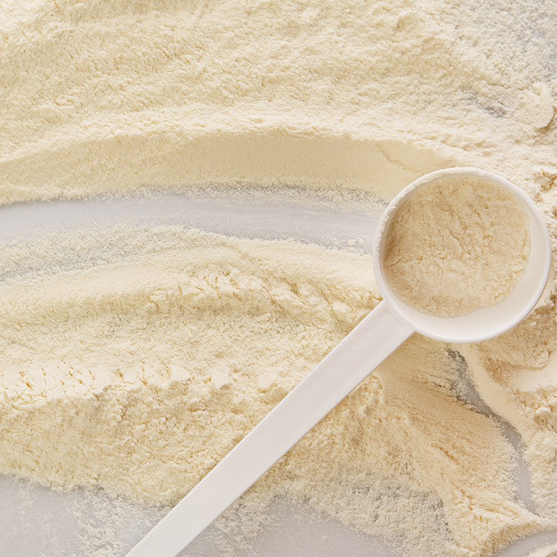 OEM /ODM Probiotics Enzyme Powder with Iron Zinc Calcium-Nutrient Rich Supplement