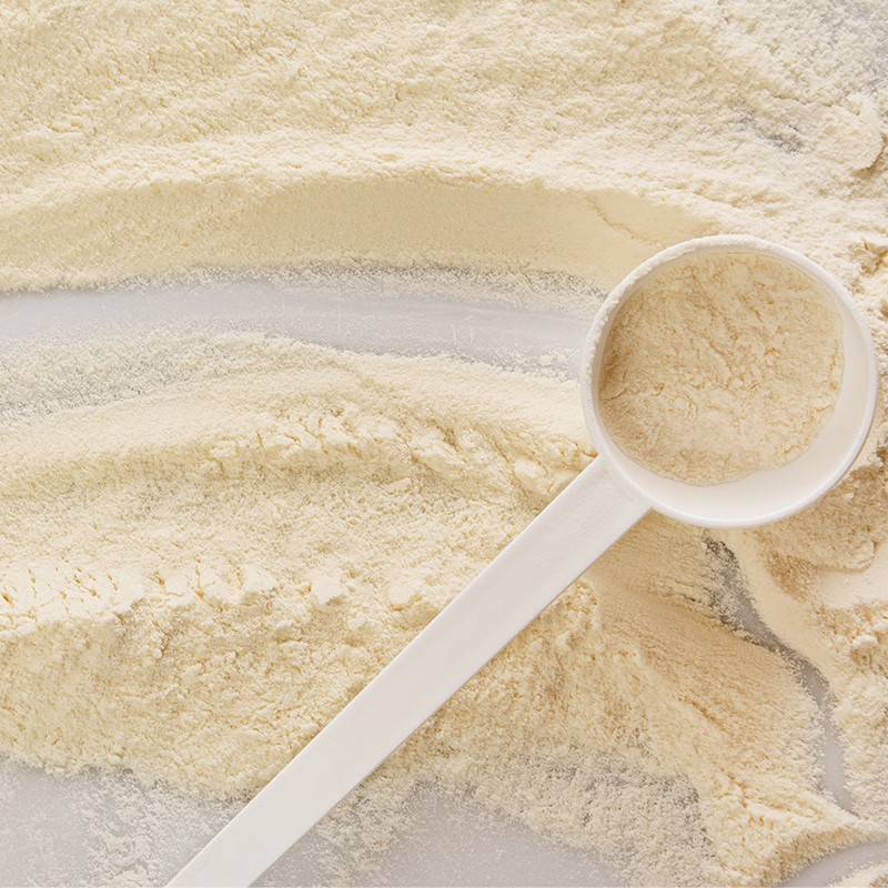 Wholesale Hot Selling Whey Protein Powder Immunity Booster Nutrition Supplement for All